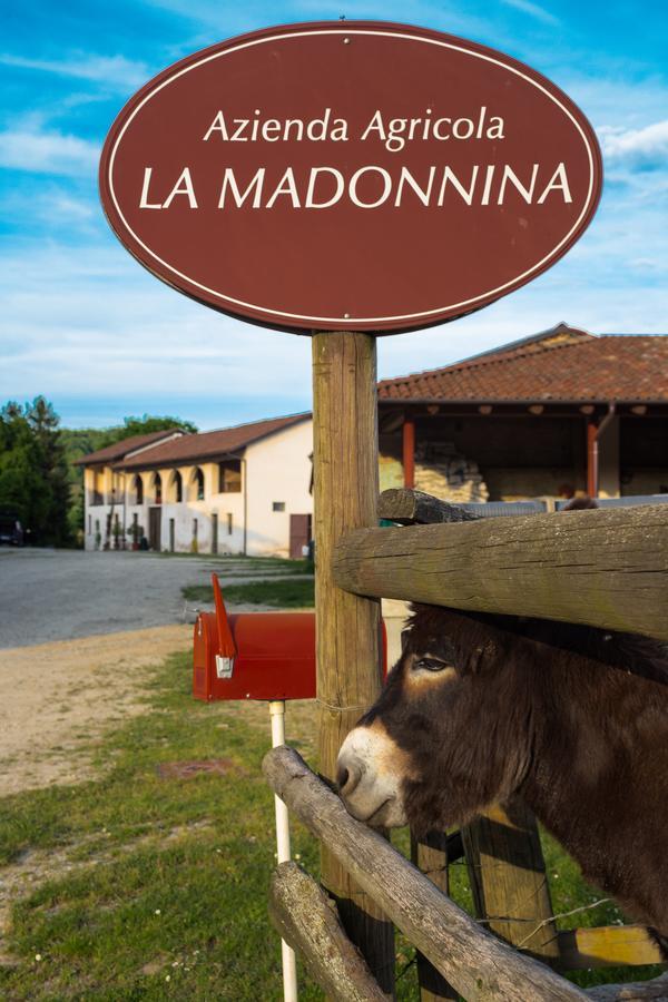 La Madonnina Agriturismo Dore Alba  Exteriér fotografie